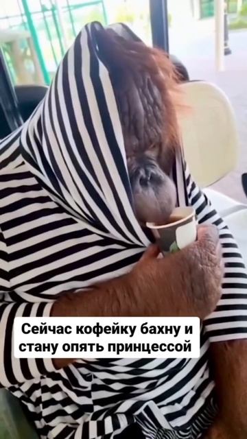 Доброе утро