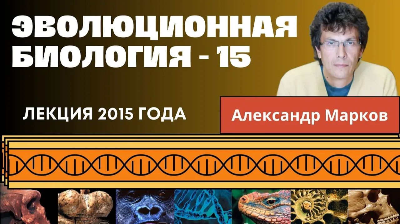 Александр Марков