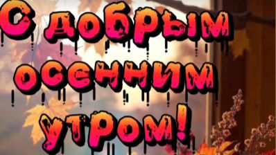 С добрым осенним утром! Отличного дня и супер настроения 🍂☀️