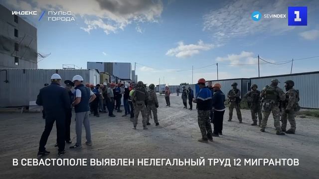 В Севастополе выявлен нелегальный труд 12 мигрантов