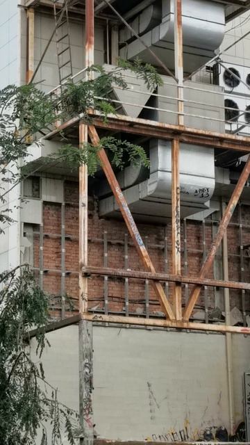 Прогулки в Ростове-на-дону
