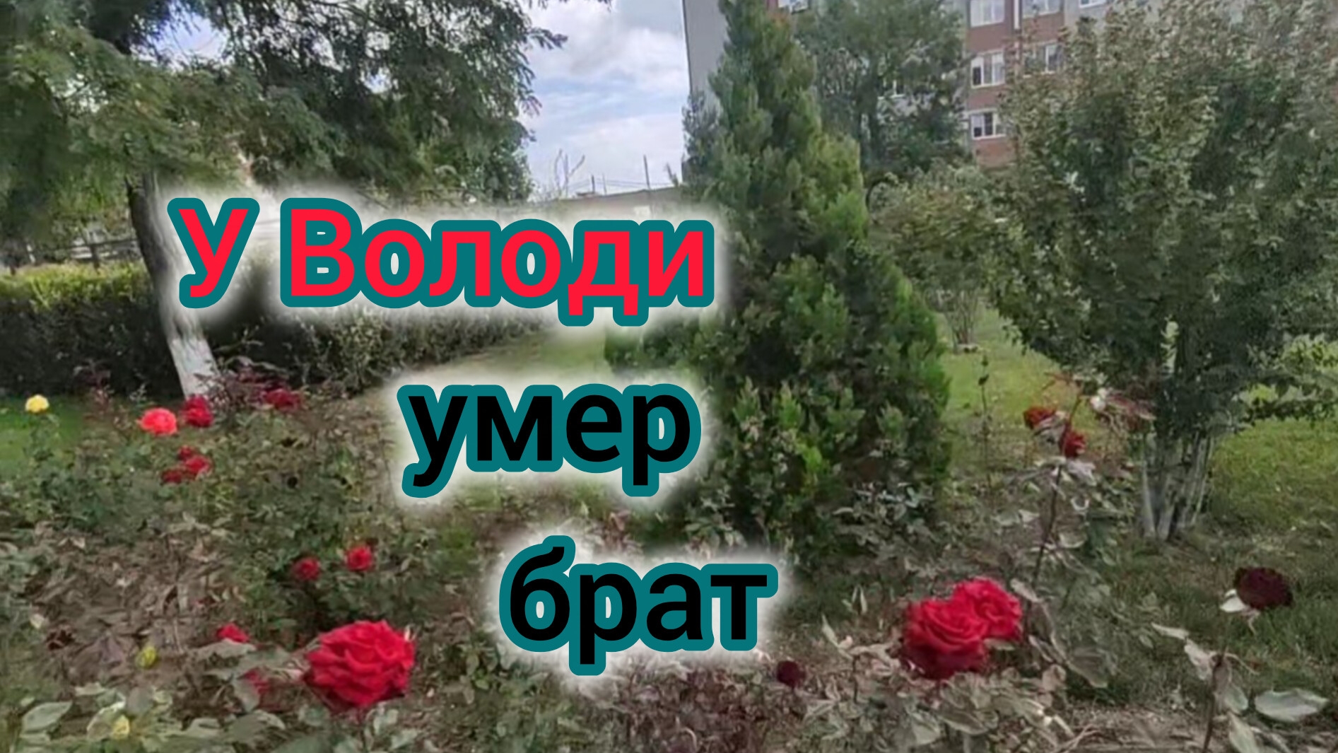 У Володи УМЕР брат/Володя просит себя  кремировать