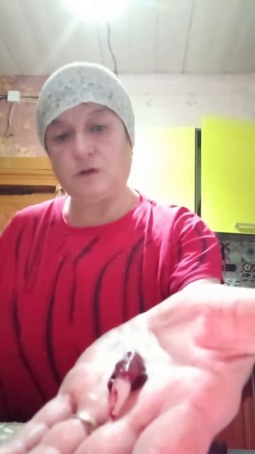Щука