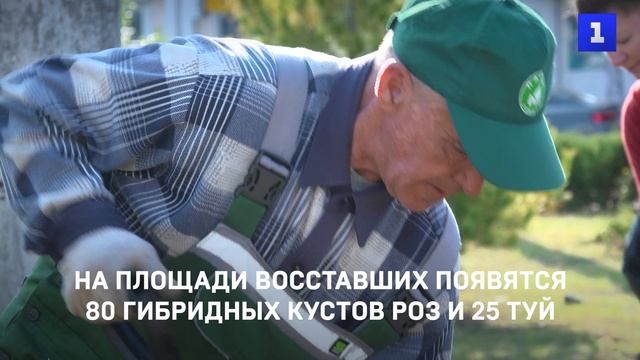 На площади Восставших появятся 80 гибридных кустов роз и 25 туй
