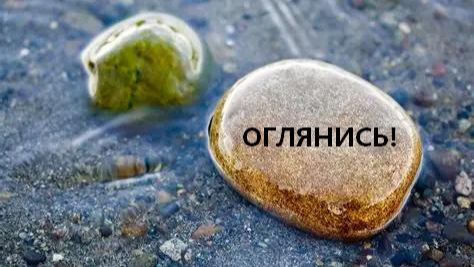 Следуй за вдохновением