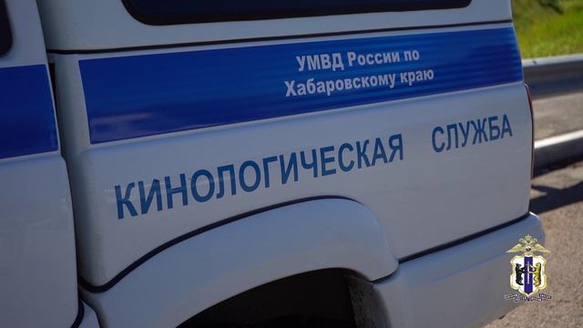 Новостные сюжеты