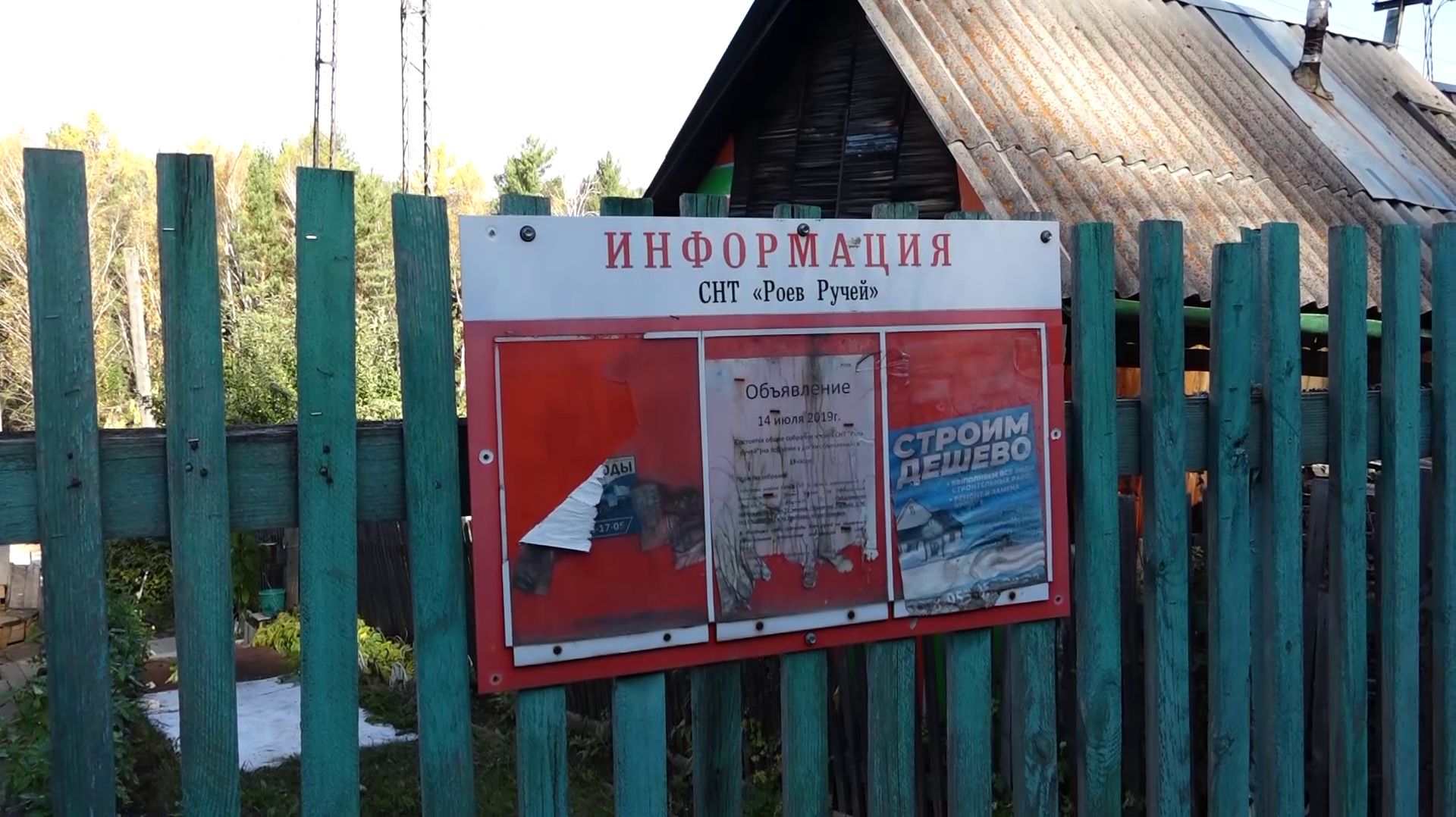ДАЧНИКИ СНТ «РОЕВ РУЧЕЙ», ГДЕ РАНЕЕ ЗАСТРЕЛИЛИ ДВУХ МЕДВЕДЕЙ, СНОВА ВИДЕЛИ ХИЩНИКОВ