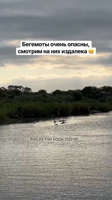 ЮАР