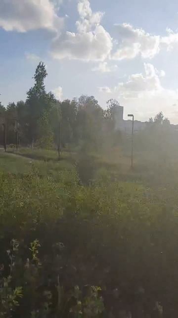 Песни