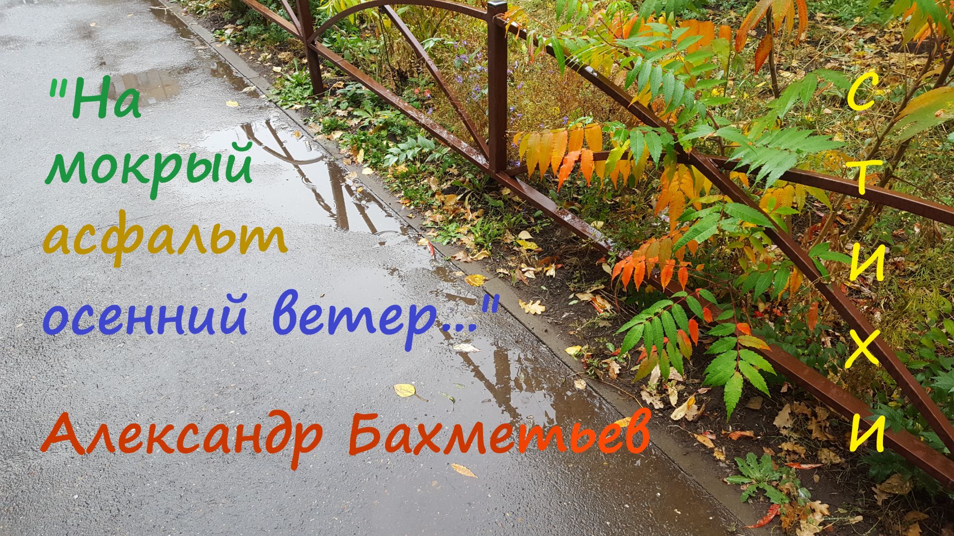 Стихи