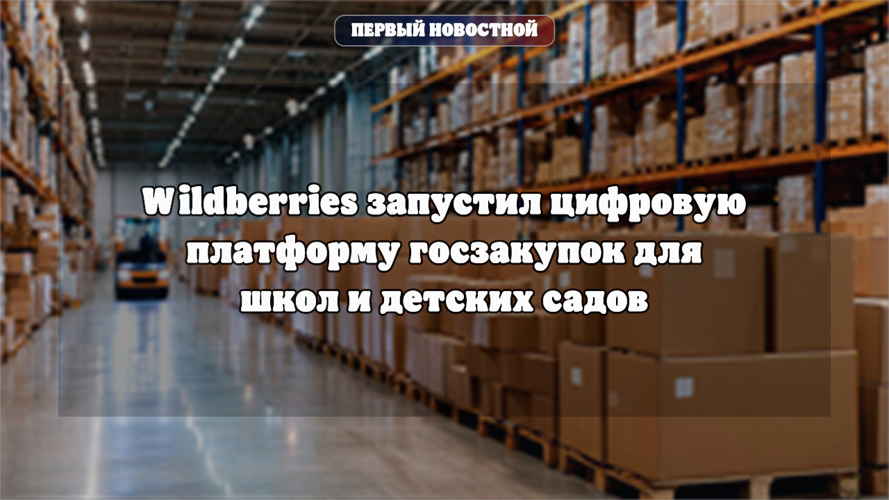 Wildberries запустил цифровую платформу госзакупок для школ и детских садов