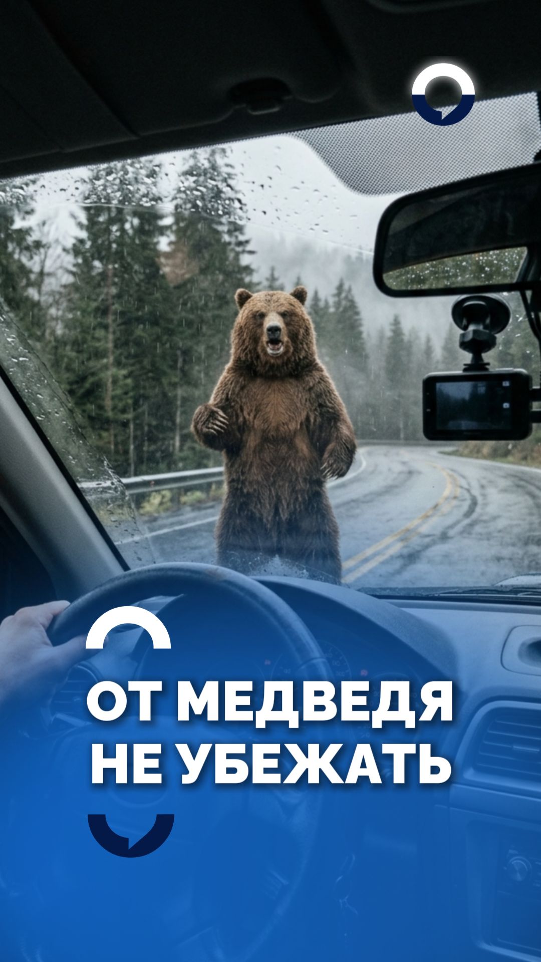 «Человек — очень лёгкая добыча для медведя, чтобы наесться»