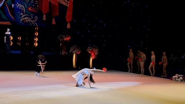 Гала-концерты, шоу...