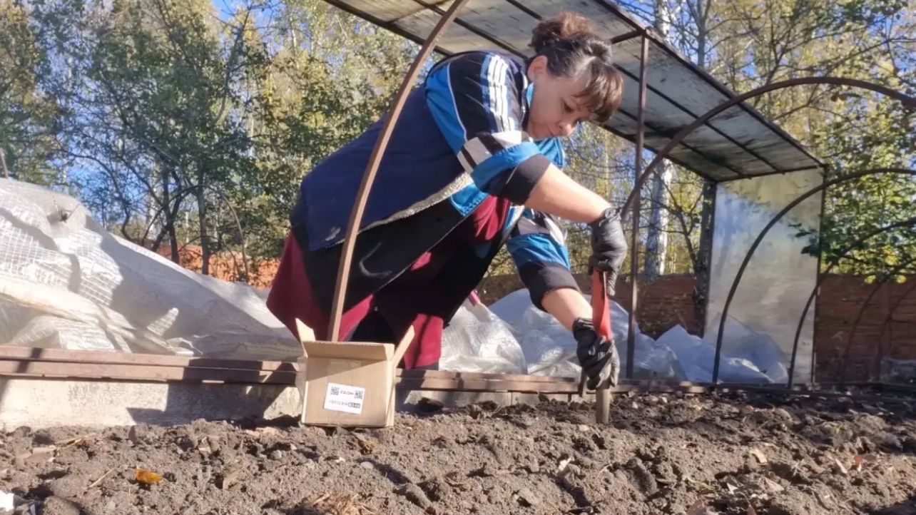 Сначала знакомство потом дружба. В ожидании гостей. Посадила чеснок. Перец на зимовку.