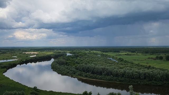 Родина многогранная