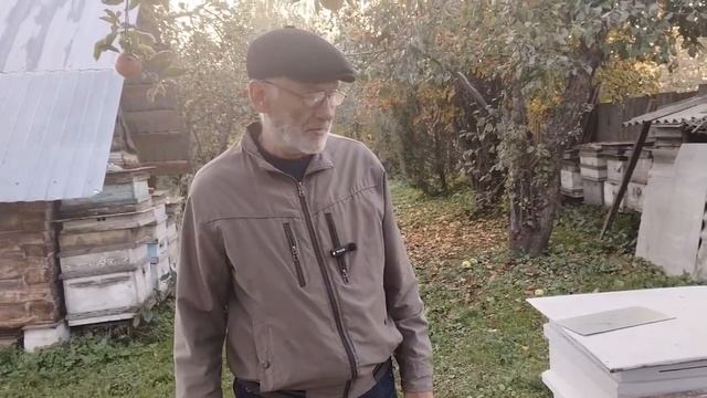 8 октября РЕЗУЛЬТАТ ОБРАБОТКИ ПЧЁЛ НЕ УТЕШИТЕЛЬНЫЙ.