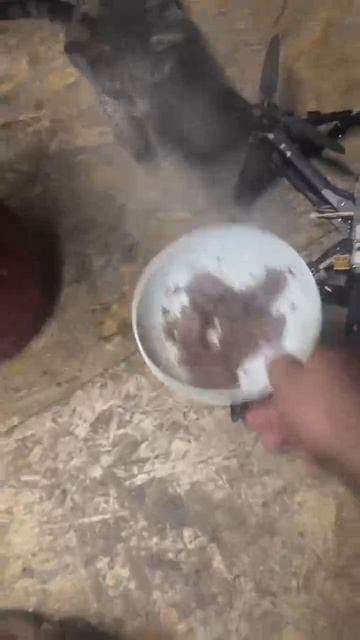 Утро доброе Страна
