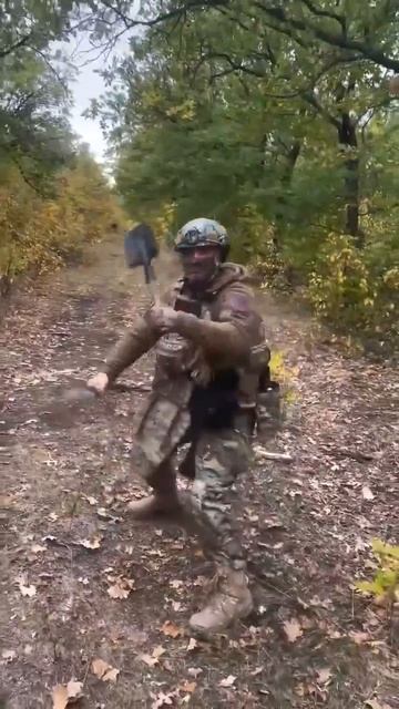 Лесная черепашка.