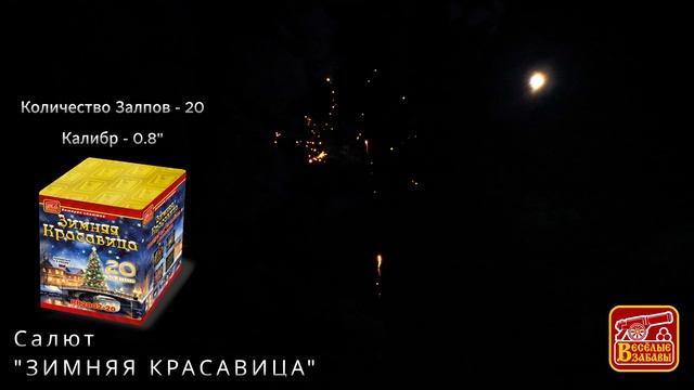 зимняя красавица