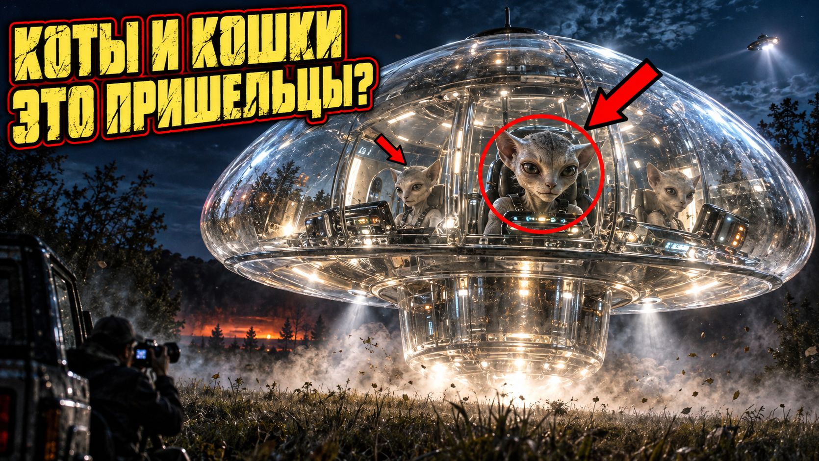 В рассекреченных файлах по НЛО описали существ с кошачьими лицами внутри прозрачного аппарата