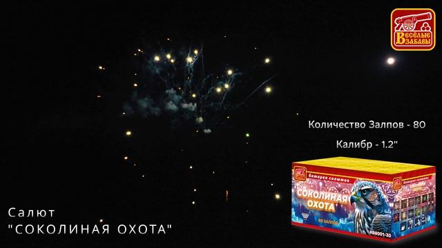 соколиная охота