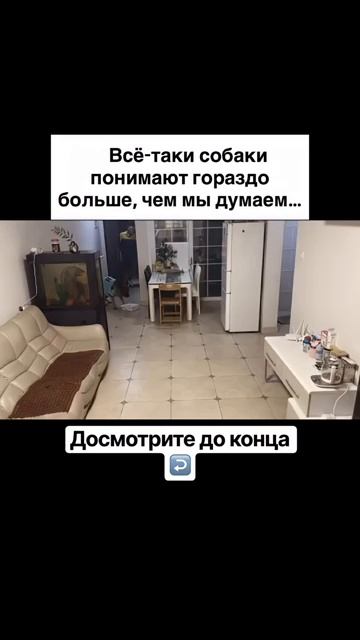 Подробности в oписании