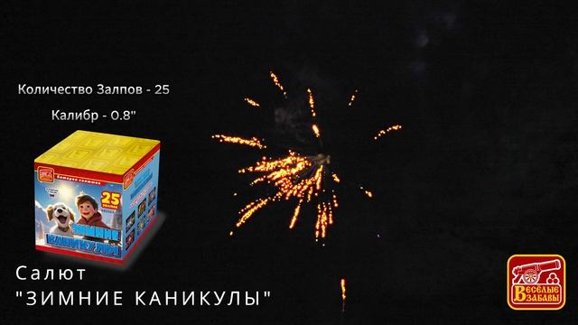 зимние каникулы