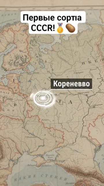 Сорта картофеля