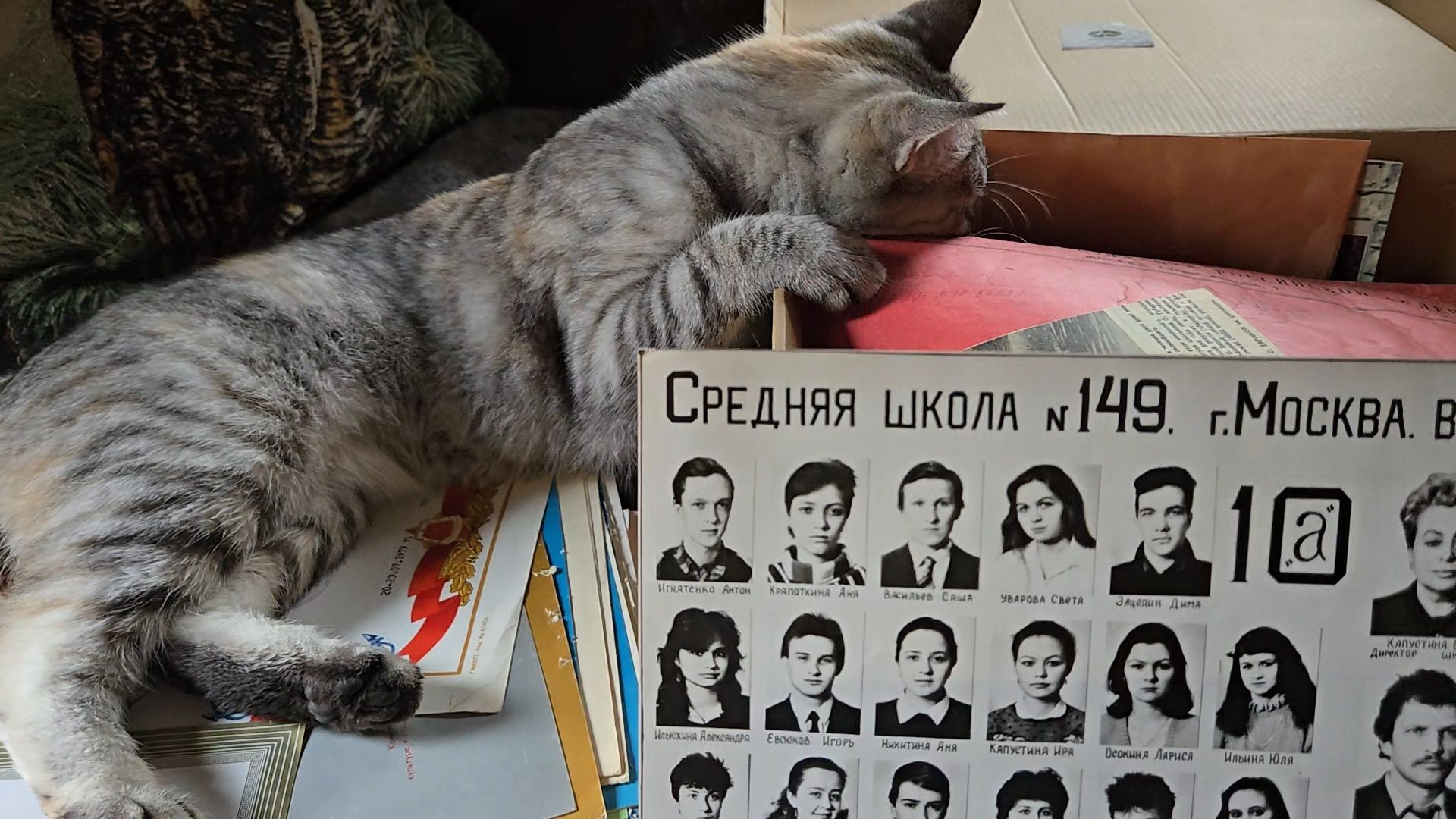 День безделья, шкодливая кошка и мышкин дом