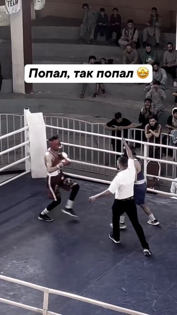 Вот это удар 🥊