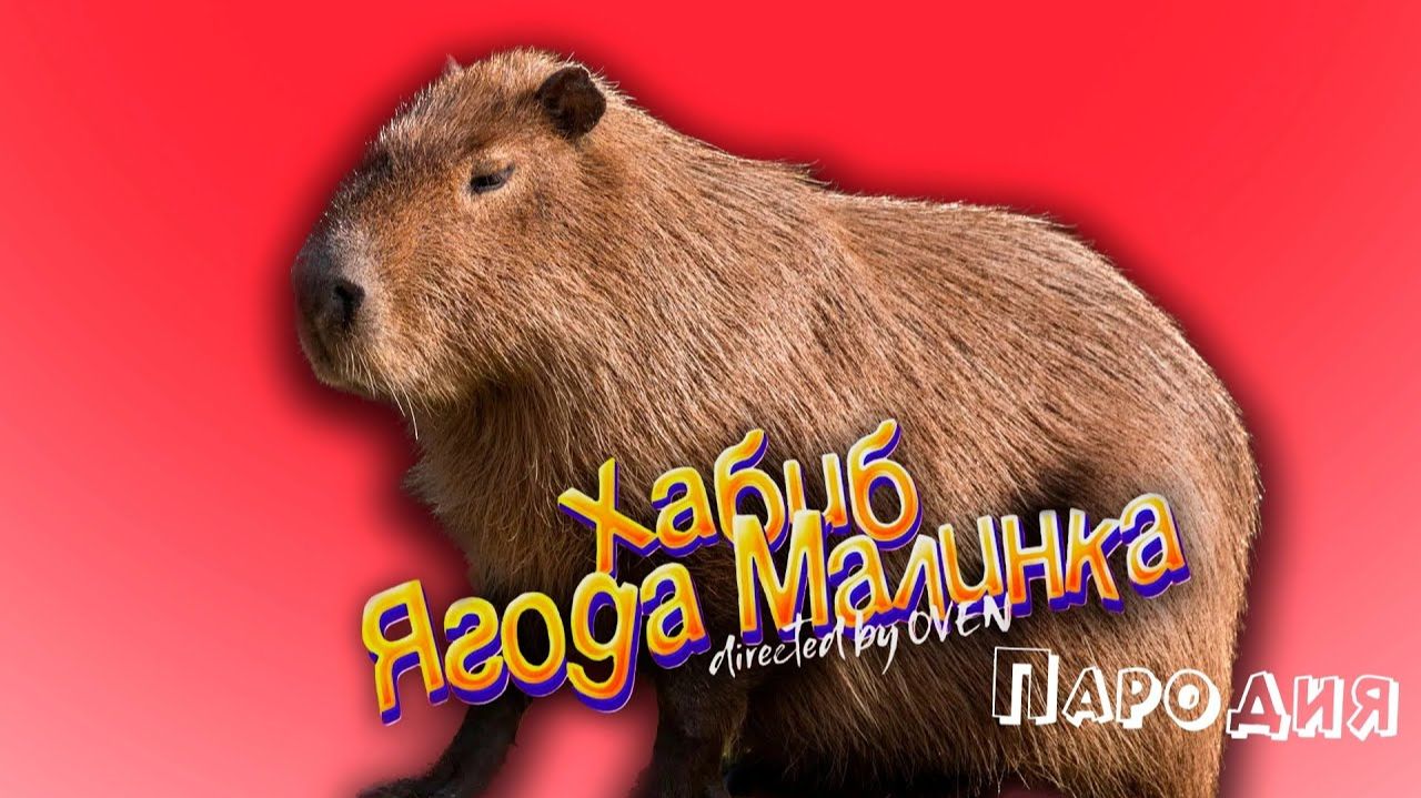 Мемы животных