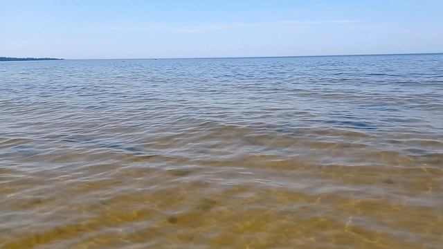 город Сосновый Бор Ленинградская область июль 2026 ЛВ_Путешествия