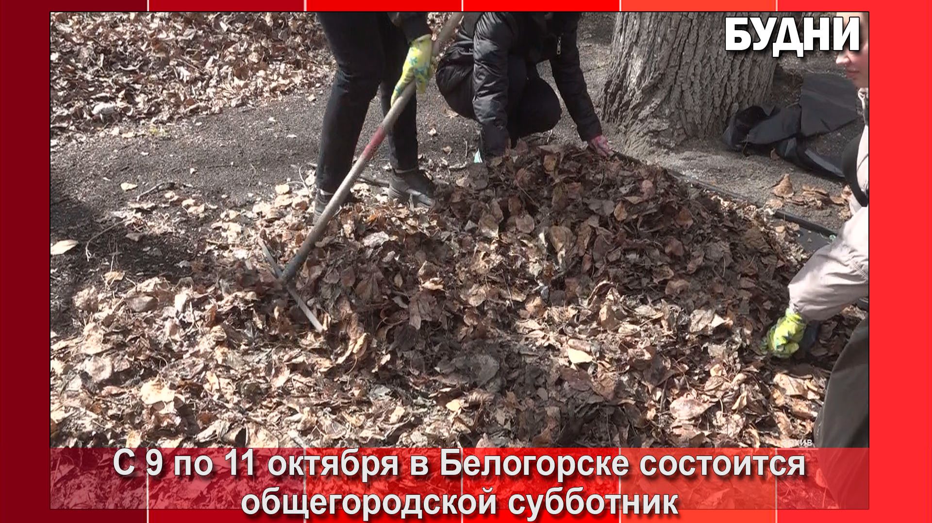 Информационные сюжеты (21.12.2022г. - ... 2026г.)