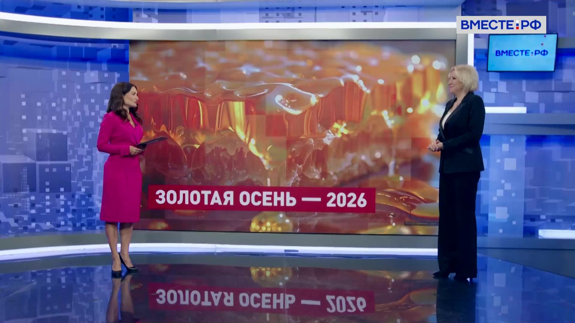 Развитие пчеловодства: борьба с фальсификатом меда. Елена Саратцева. Сказано в Сенате
