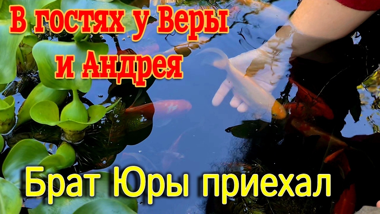 Брат Юры приехал. В гостях у Веры. Олег купается. Обзор черновой кв-ры на Западной. Море. Ейск.