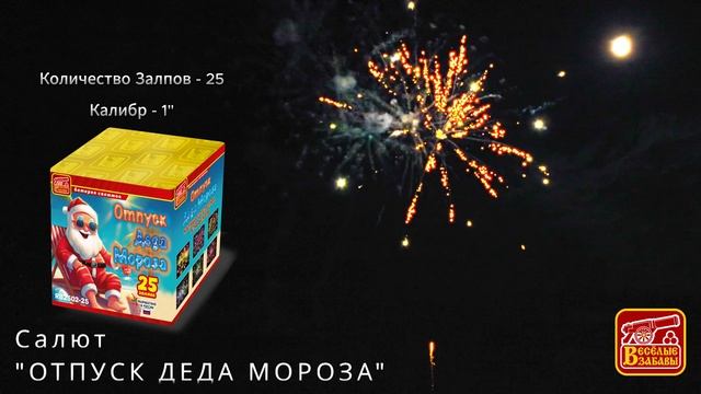 отпуск деда мороза