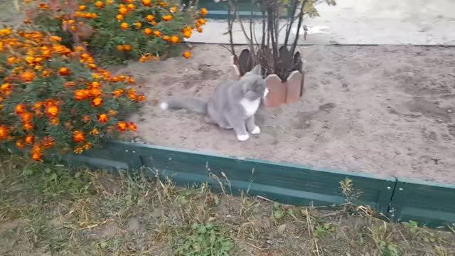 РАЗНОЕ