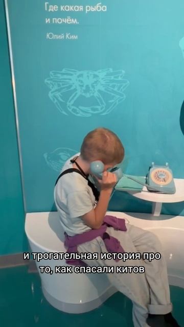 Планета океан Калининград