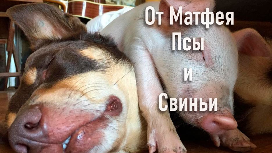 от Матфея
