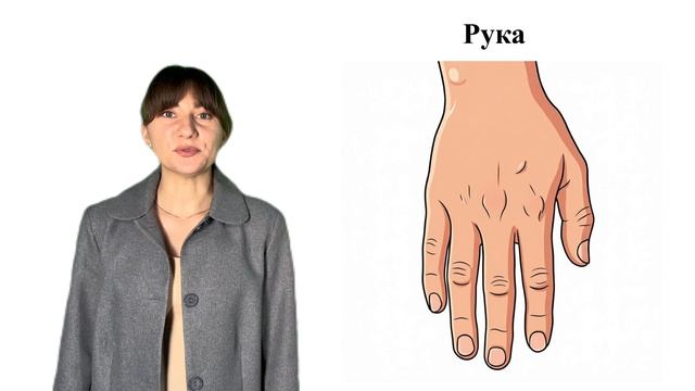 «Русский язык для детей: уровень 2»