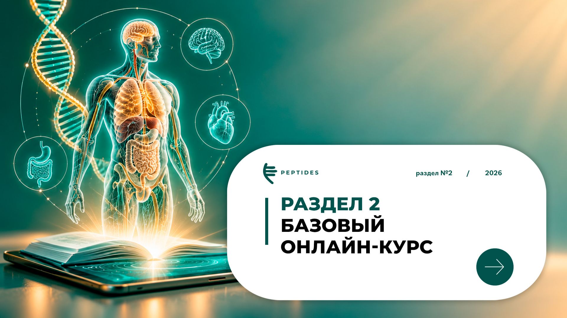 Базовый онлайн-курс Peptides®