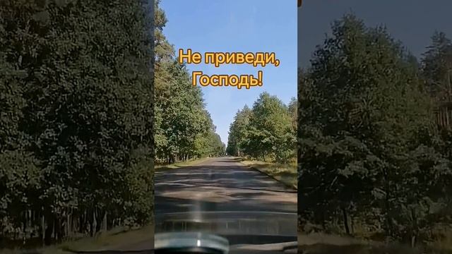 EVA 4EVA не приведи господь