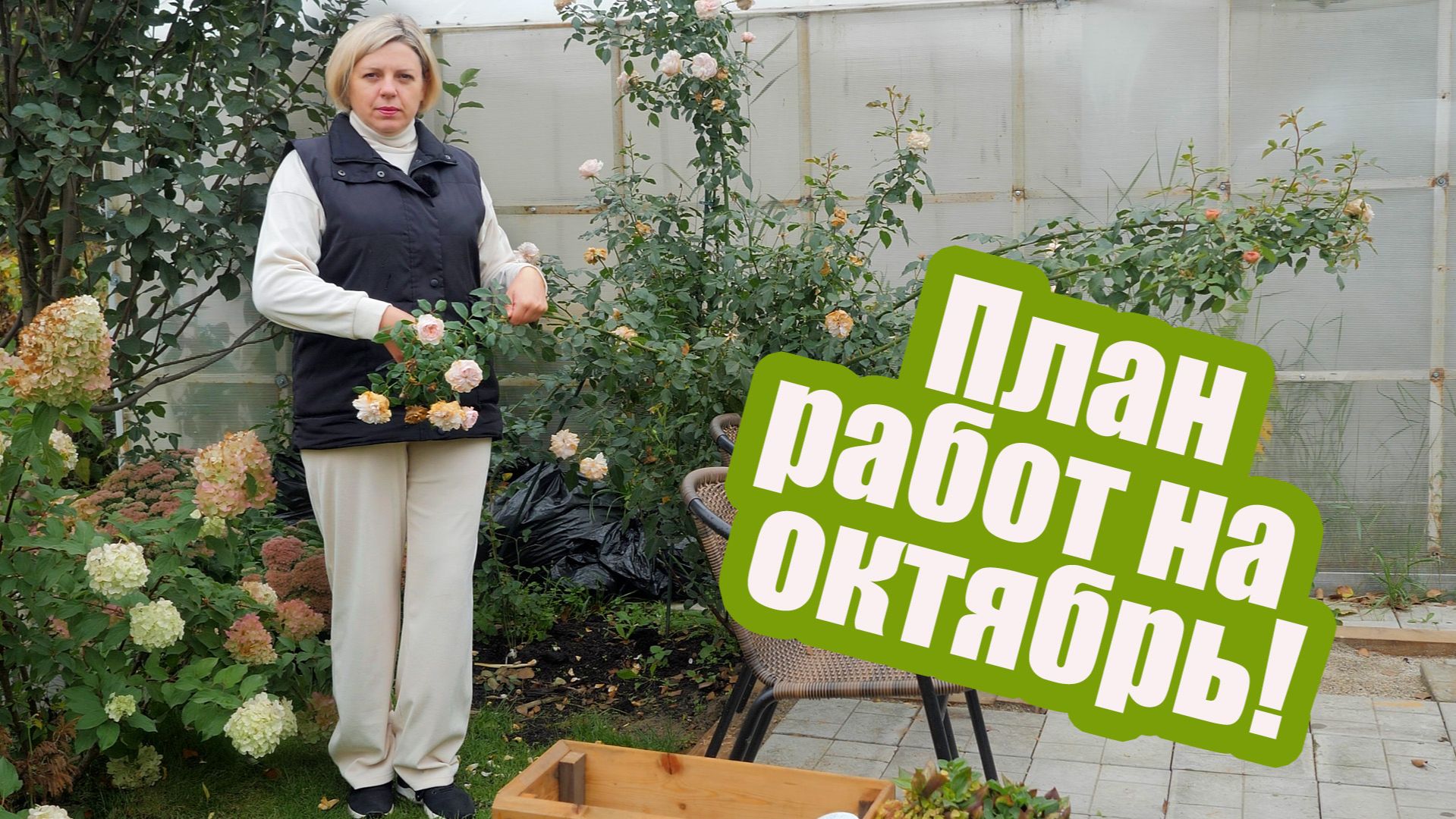 Все работы октября: что нужно успеть сделать в саду и огороде?