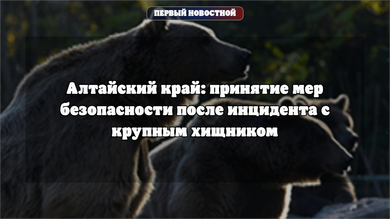 Алтайский край: принятие мер безопасности после инцидента с крупным хищником