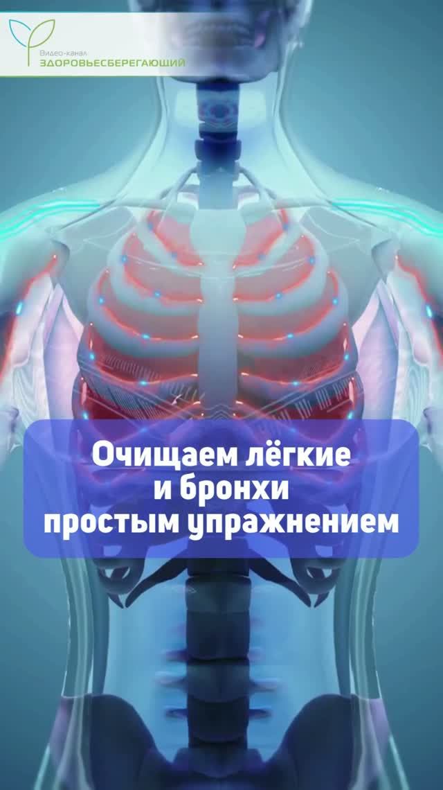 Как за минуту очистить лёгкие и бронхи – эффективное упражнение
