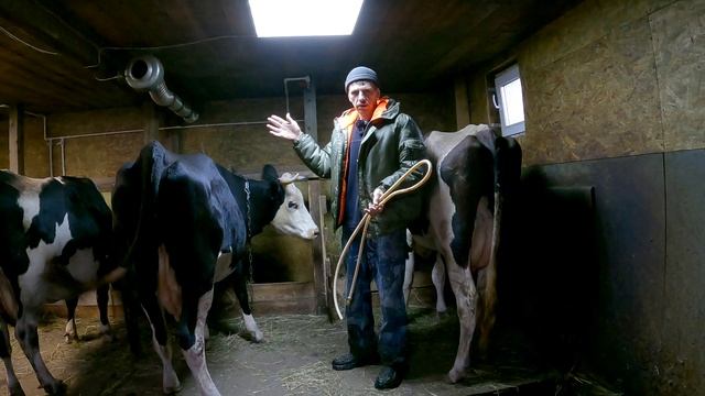Первые минусы, тяжелейшая победа  Муськи над поилками! Дела в хозяйстве и на мини - ферме