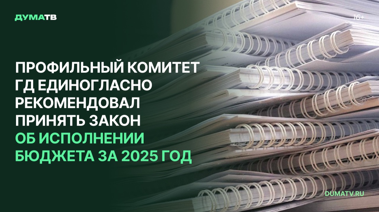 Профильный комитет ГД единогласно рекомендовал принять закон об исполнении бюджета за 2025 год