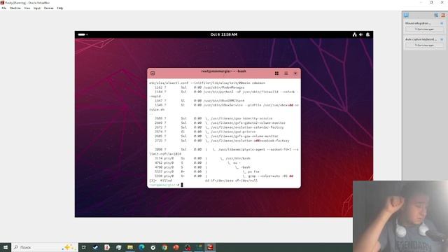 Выполнение лабораторной работы 6