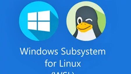 WSL