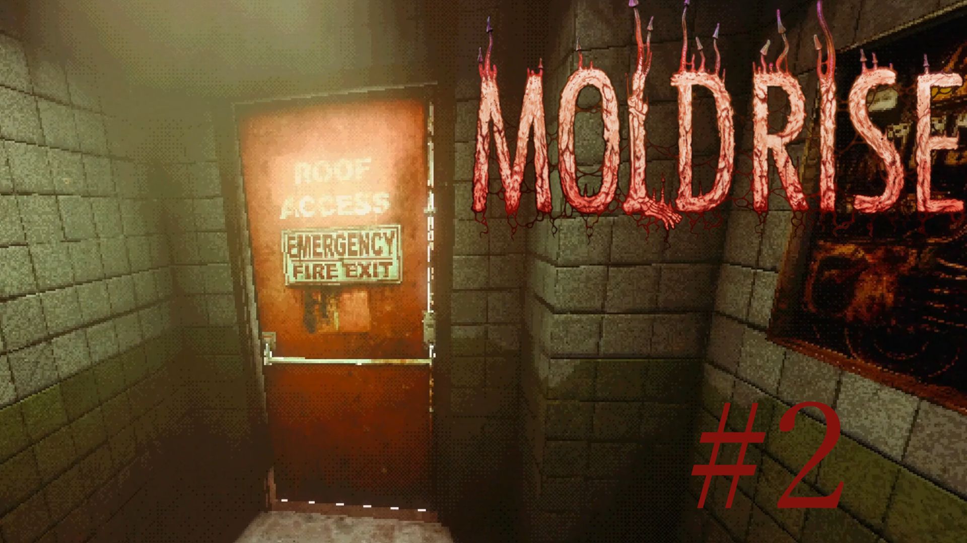 Moldrise